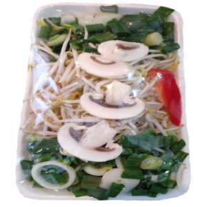 Mongoliana