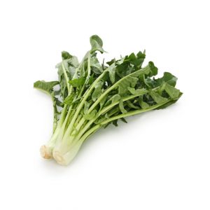 Achicoria