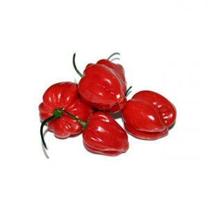 Ají Rocoto 250 grs