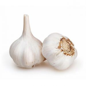 Ajo