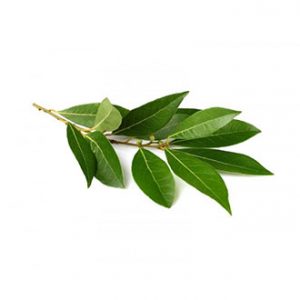 Bandeja Laurel