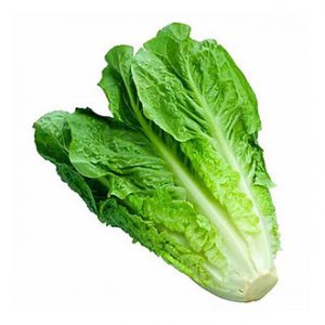 Lechuga Costina