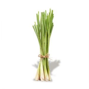 Lemon Grass