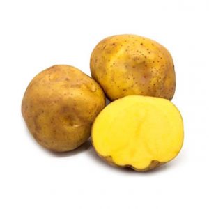 Papa Amarilla