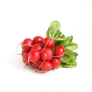 Rabanitos