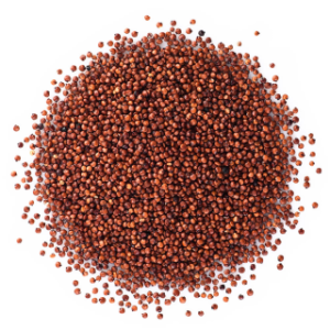 Quinoa Roja